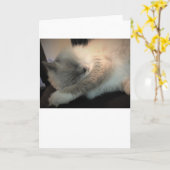 低速日、カード カード (黄色い花)