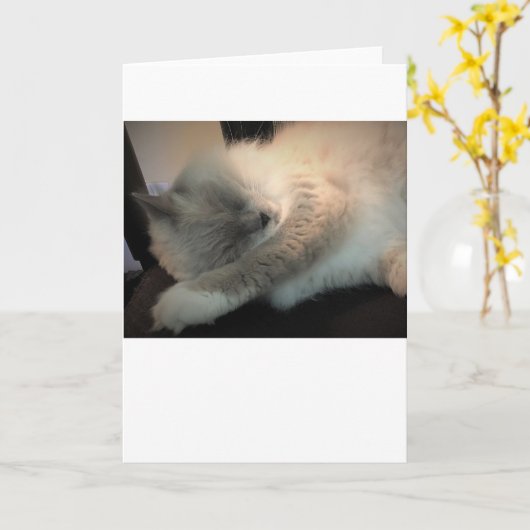 低速日、カード カード (黄色い花)