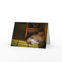 低速日、カード