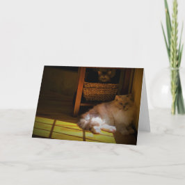 低速日、カード カード