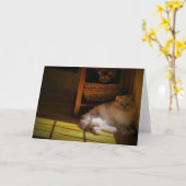 低速日、カード カード (黄色い花)