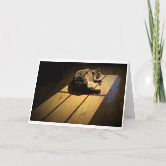 低速日、カード カード (正面)