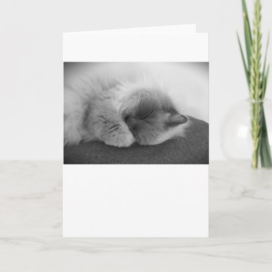 低速日、カード カード (正面)