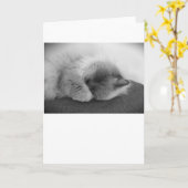 低速日、カード カード (黄色い花)