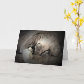 低速日、カード カード (黄色い花)