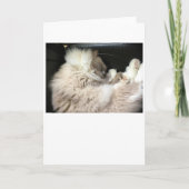 低速日、カード カード (正面)