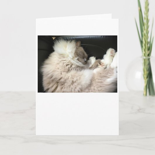 低速日、カード カード (正面)