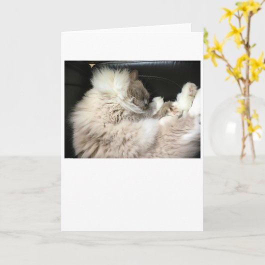 低速日、カード カード (黄色い花)