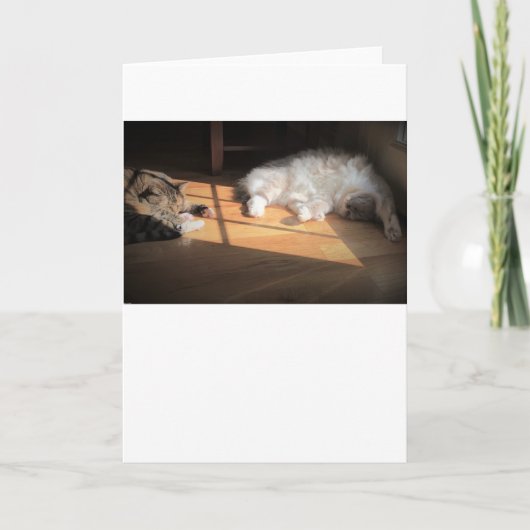 低速日、カード カード (正面)