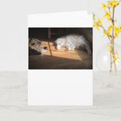 低速日、カード カード (黄色い花)