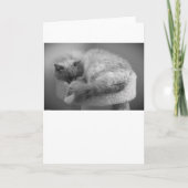 低速日、カード カード (正面)