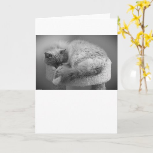 低速日、カード カード (黄色い花)