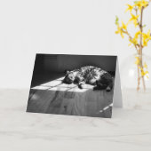 低速日、カード カード (黄色い花)