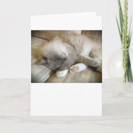 低速日、カード カード