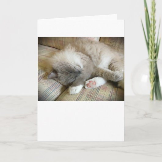 低速日、カード カード (正面)