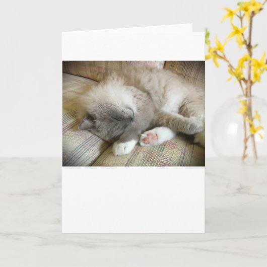 低速日、カード カード (黄色い花)