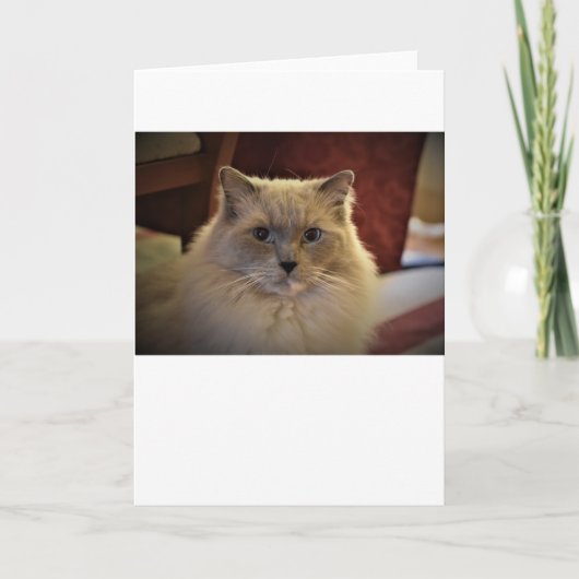 低速日、カード カード (正面)