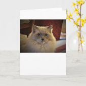 低速日、カード カード (黄色い花)