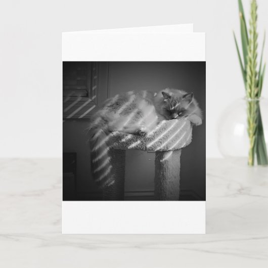 低速日、カード カード (正面)