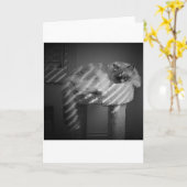 低速日、カード カード (黄色い花)