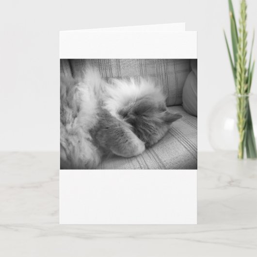 低速日、カード カード (正面)