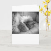 低速日、カード カード (黄色い花)