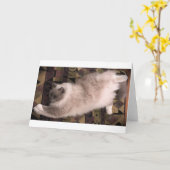 低速日、カード カード (黄色い花)