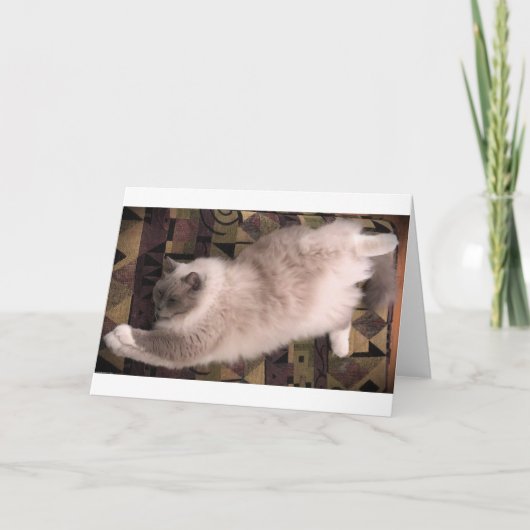 低速日、カード カード (正面)