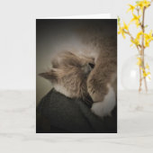 低速日、カード カード (黄色い花)