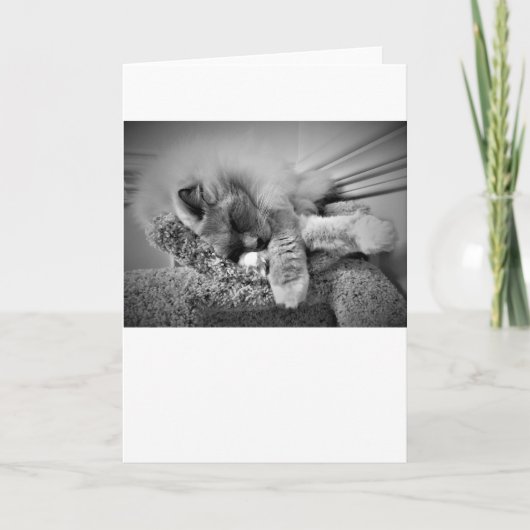 低速日、カード カード (正面)