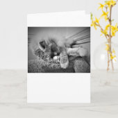 低速日、カード カード (黄色い花)