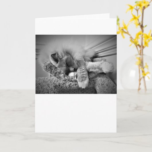 低速日、カード カード (黄色い花)