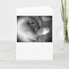 低速日、カード カード