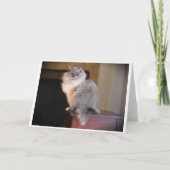 低速日、カード カード (正面)