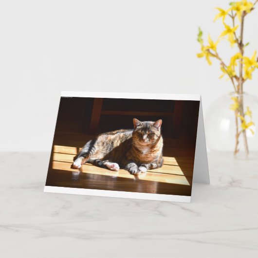 低速日、カード カード (黄色い花)