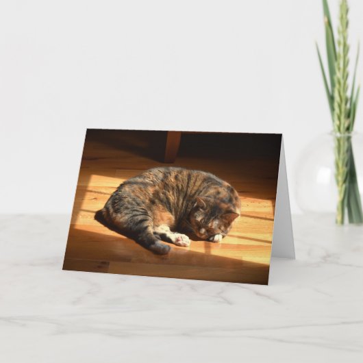 低速日、カード カード (正面)