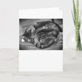 低速日、カード カード (正面)