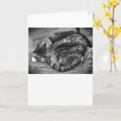 低速日、カード カード (黄色い花)