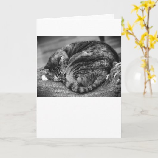 低速日、カード カード (黄色い花)