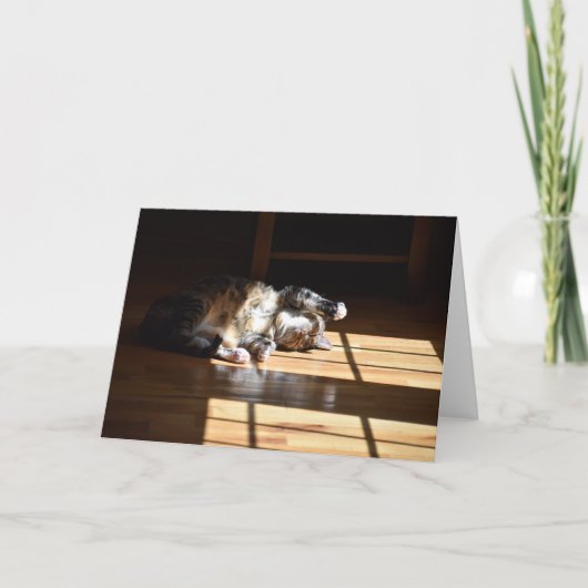 低速日、カード カード (正面)