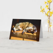 低速日、カード カード (黄色い花)