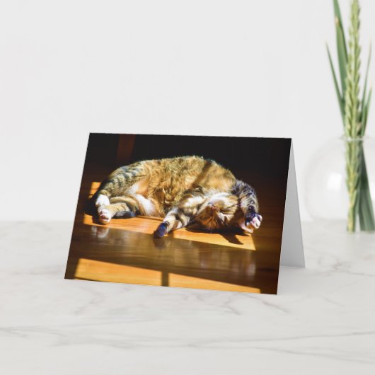 低速日、カード カード (正面)