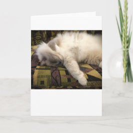 低速日、カード カード