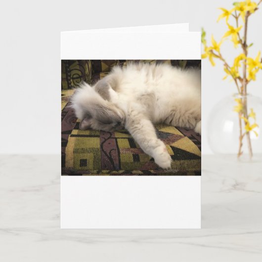 低速日、カード カード (黄色い花)