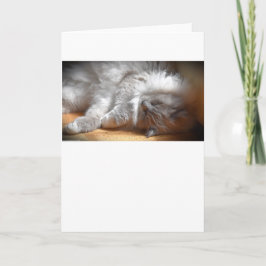 低速日、カード カード