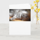 低速日、カード カード (黄色い花)