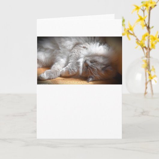 低速日、カード カード (黄色い花)