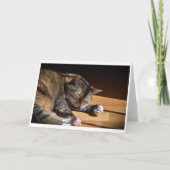 低速日、カード カード (正面)