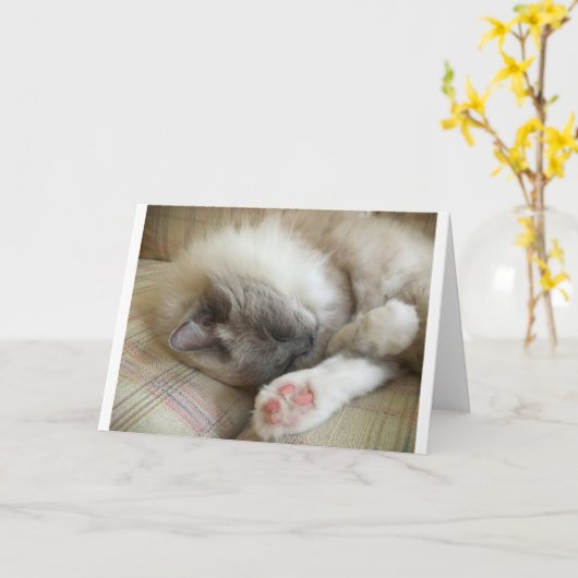 低速日、カード カード (黄色い花)