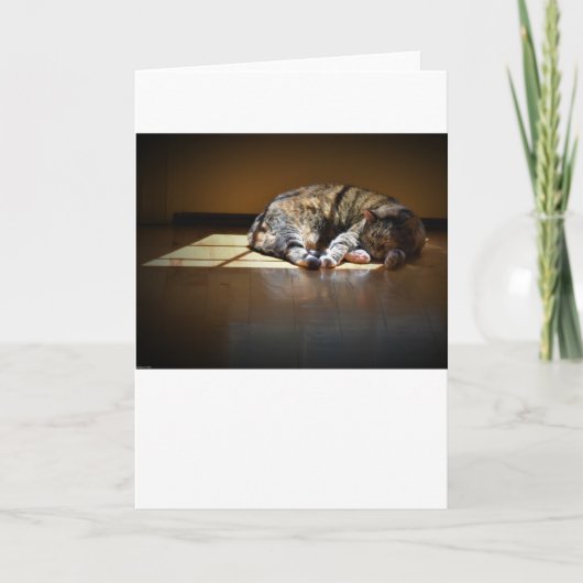 低速日、カード カード (正面)